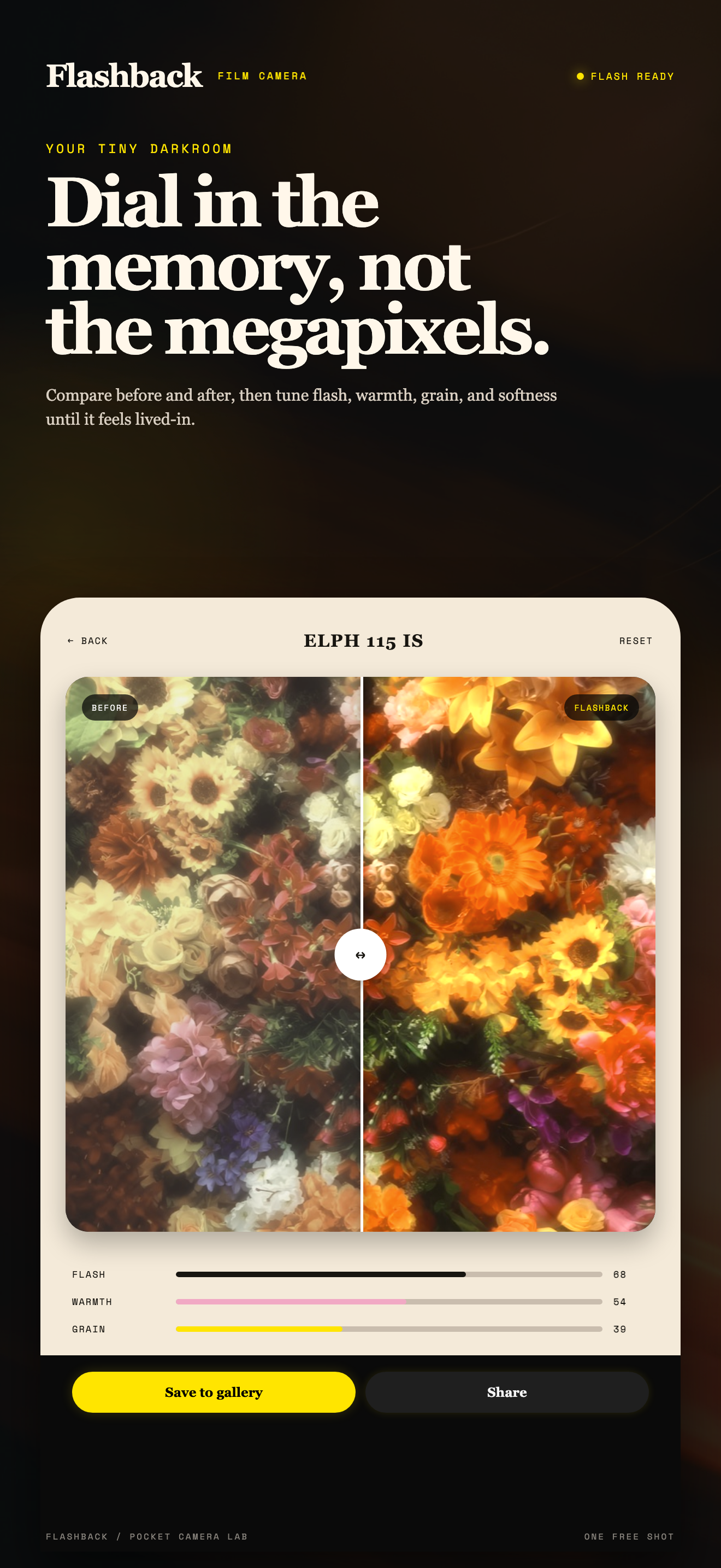 Flashback editor with film color controls